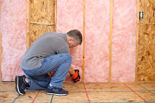 Best DIY Insulation Kits and Guidance in Enfield, NC